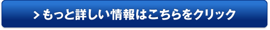 中学受験の日能研販売サイトへ